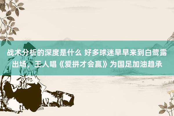 战术分析的深度是什么 好多球迷早早来到白鹭露出场，王人唱《爱拼才会赢》为国足加油趋承