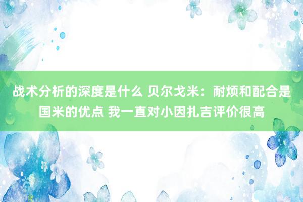 战术分析的深度是什么 贝尔戈米：耐烦和配合是国米的优点 我一直对小因扎吉评价很高