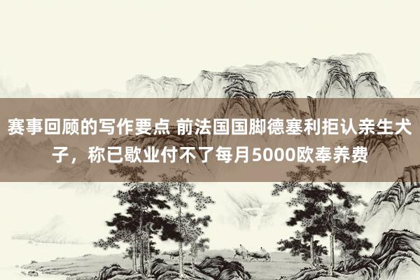 赛事回顾的写作要点 前法国国脚德塞利拒认亲生犬子，称已歇业付不了每月5000欧奉养费