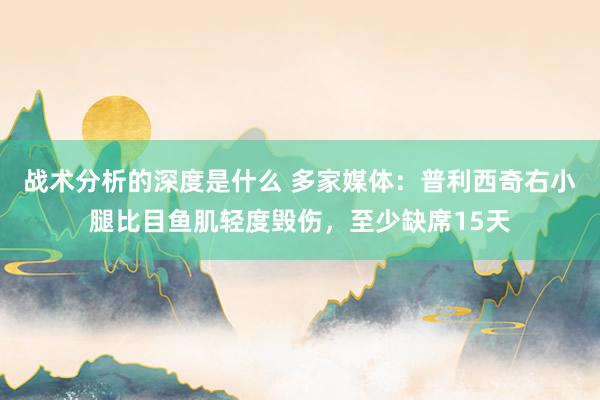 战术分析的深度是什么 多家媒体：普利西奇右小腿比目鱼肌轻度毁伤，至少缺席15天