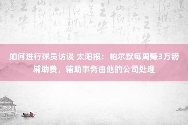 如何进行球员访谈 太阳报：帕尔默每周赚3万镑辅助费，辅助事务由他的公司处理