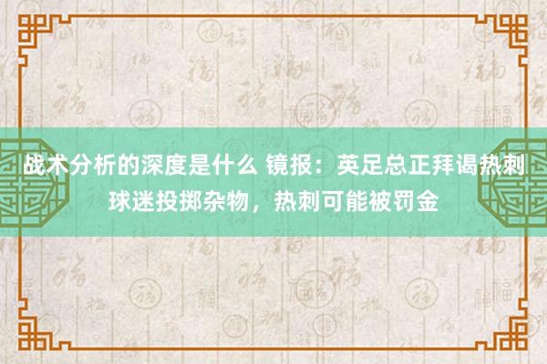 战术分析的深度是什么 镜报：英足总正拜谒热刺球迷投掷杂物，热刺可能被罚金