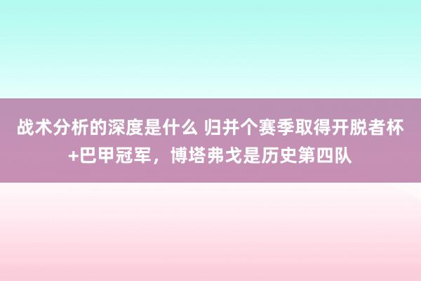 战术分析的深度是什么 归并个赛季取得开脱者杯+巴甲冠军，博塔弗戈是历史第四队